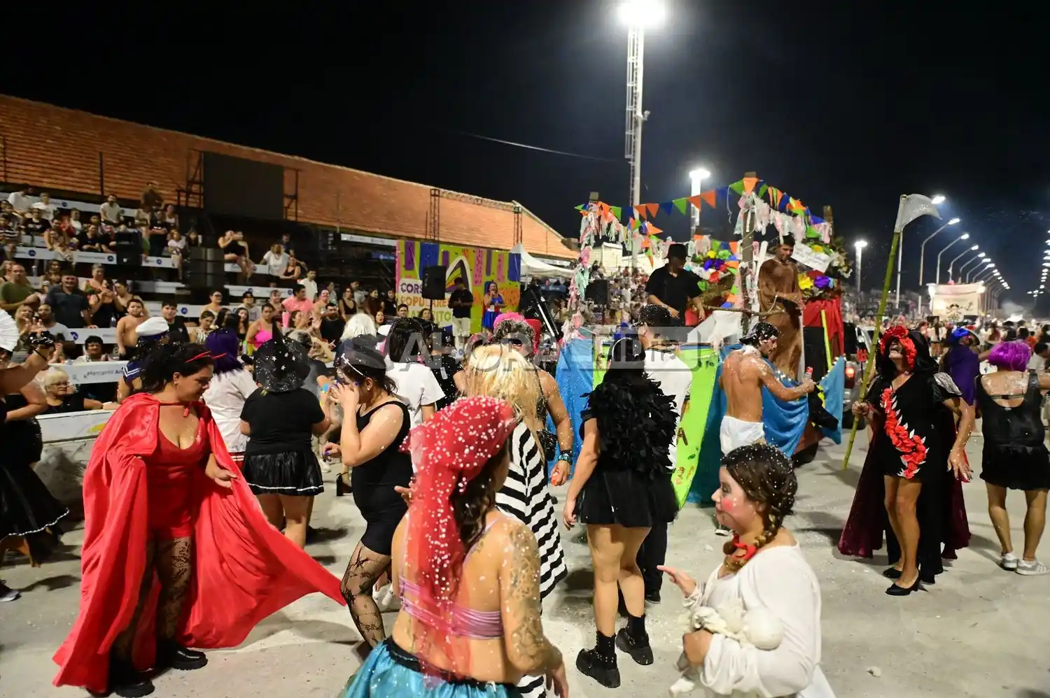 entierro del carnaval 2025 - 1