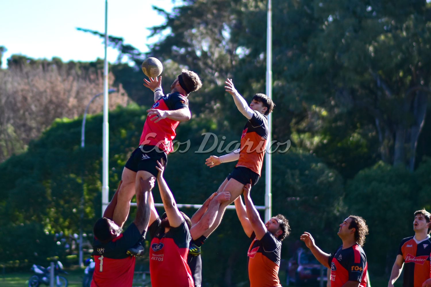 Tiburones y Campo de Pato. Tarde de rugby en Pinolandia