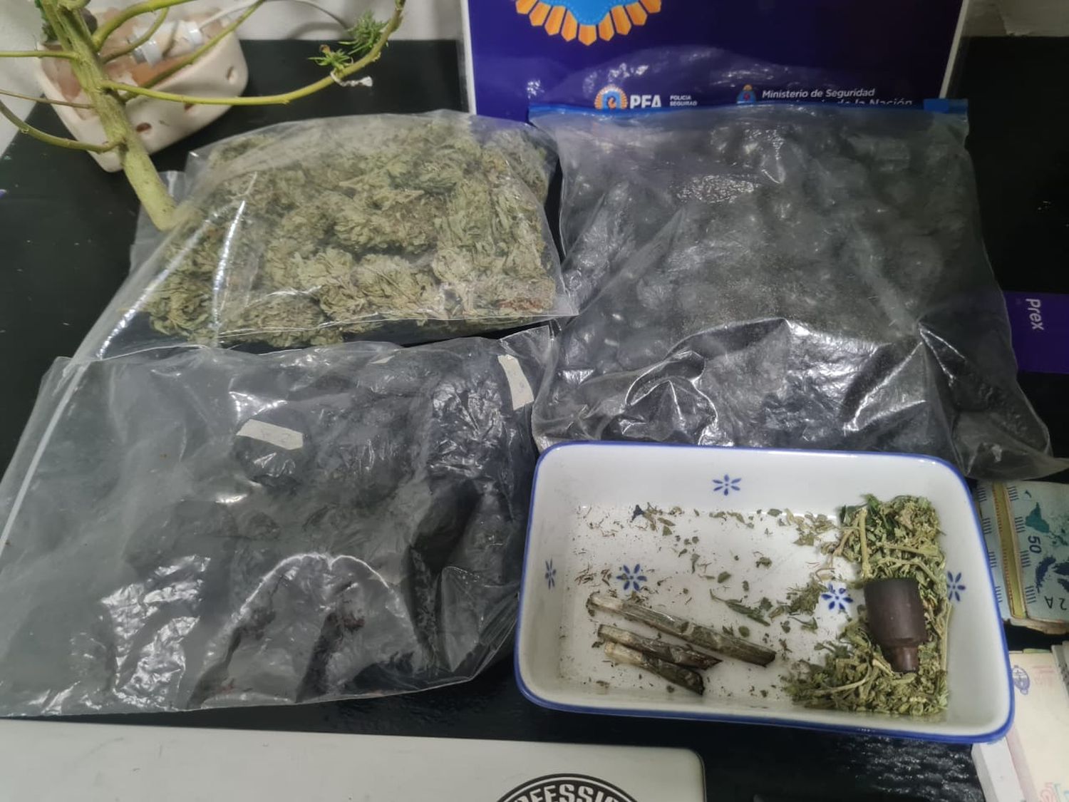 se secuestró cocaína y 342 dosis y varias semillas de marihuana.