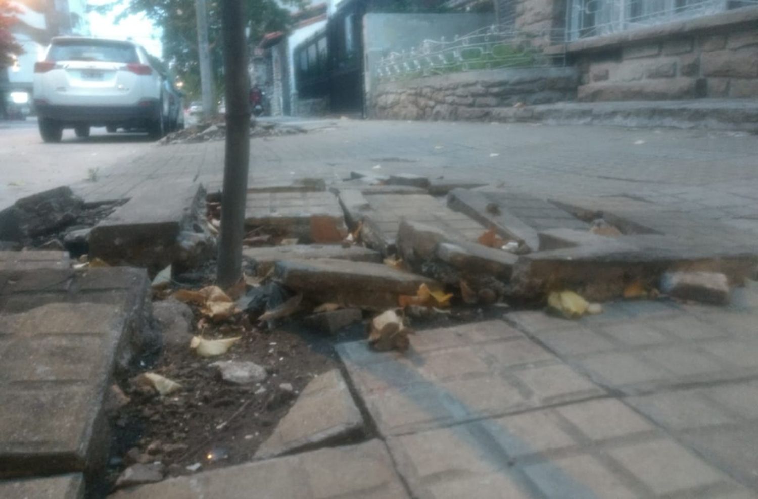 Las veredas bajo la lupa: 18 mil intimaciones en toda la ciudad