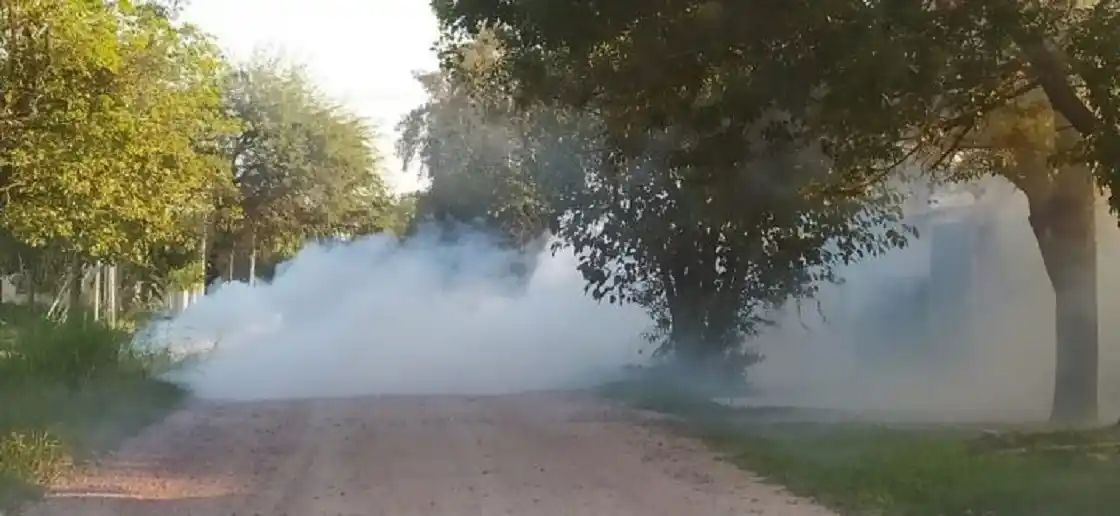 Los casos de Dengue ya llegaron a 106: Este martes habrá nuevas fumigaciones