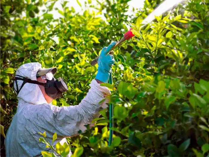 A través de muestreos anuales se elaborara una hoja de ruta en materia de salud, para cada uno de los trabajadores.