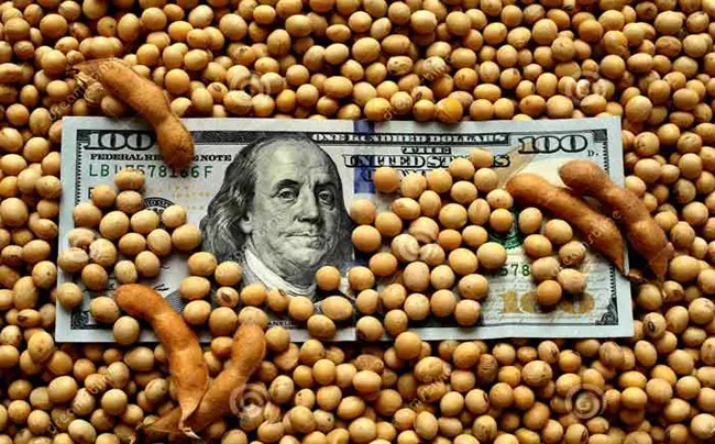 El Gobierno dijo que una tercera edición del dólar soja "no está en los temas de agenda"
