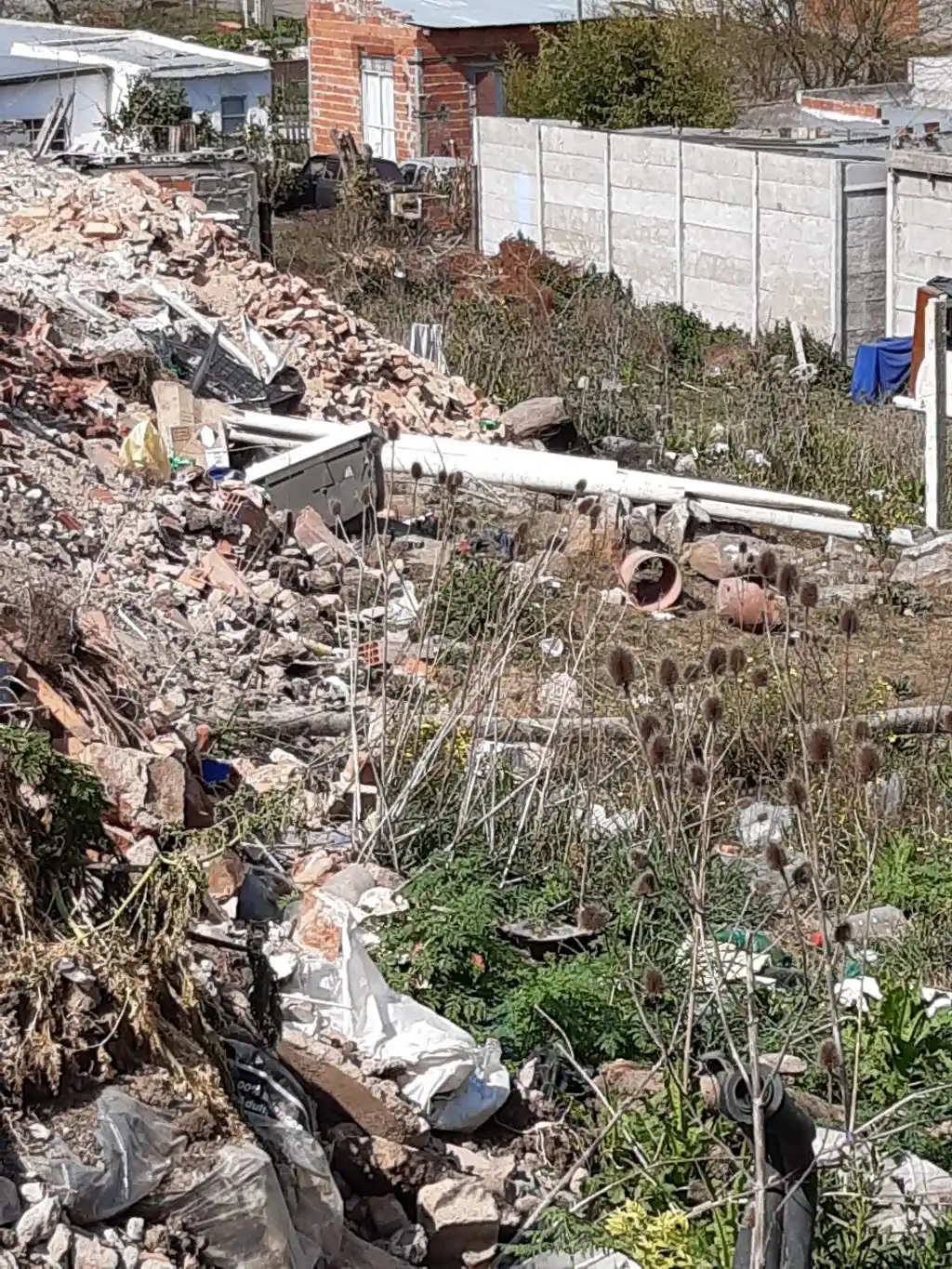 Abandono en Villa del Parque