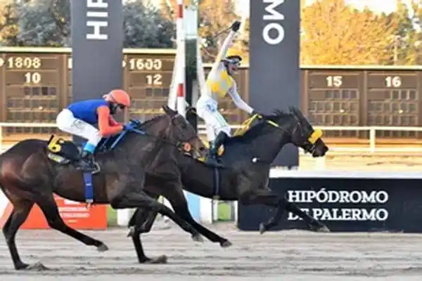 Domingo 30: Actividad Hipódromo de Palermo