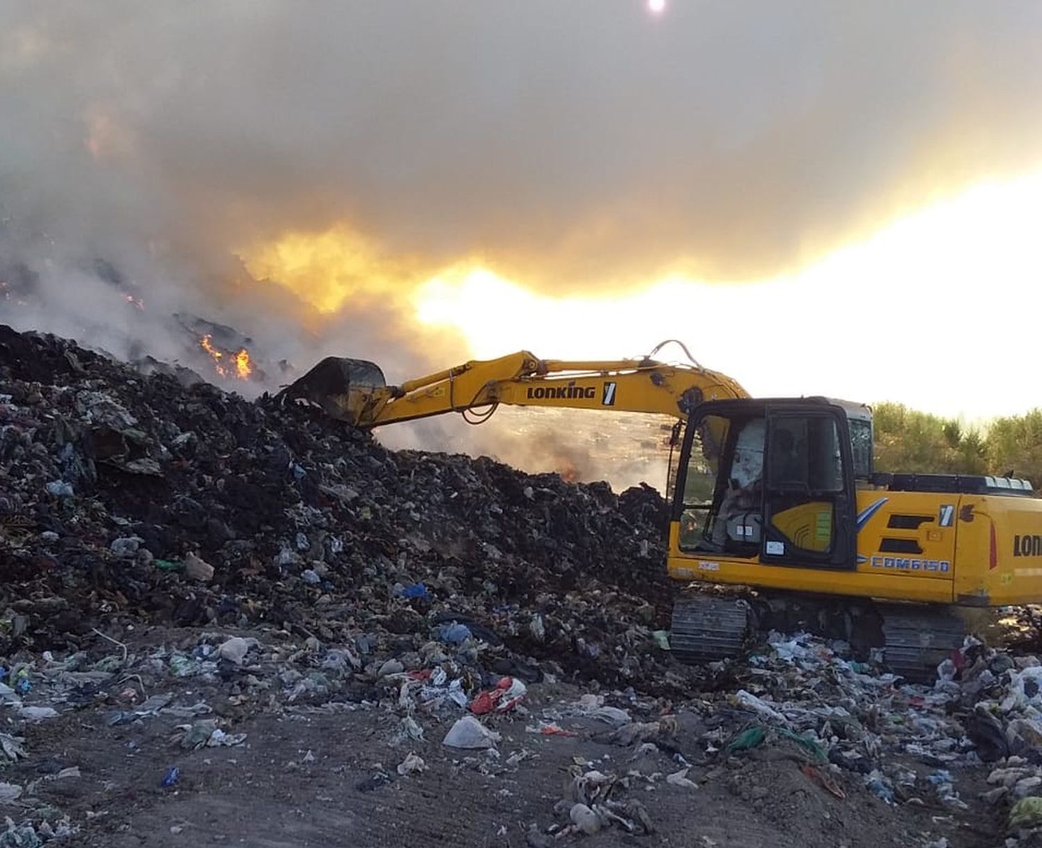 Fuego en el Ecoparque: los bomberos combaten el siniestro