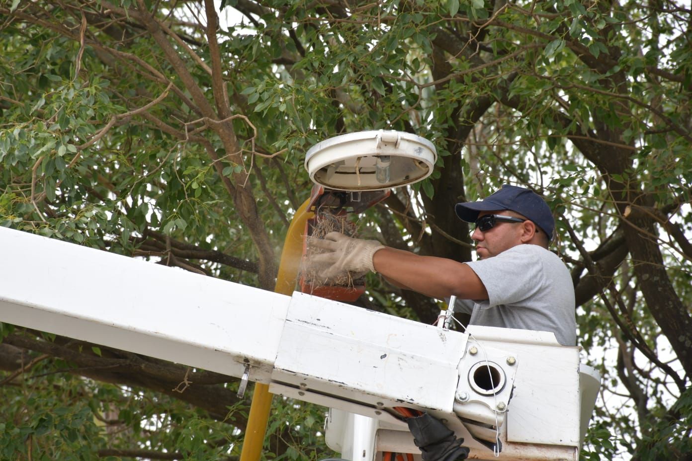 Realizan recambio de luminarias en barrios Chalet y Dos Hermanos