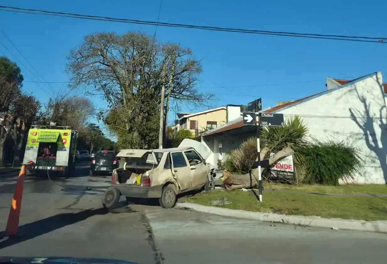 Tras la colisión, el Duna subió a la vereda y arrancó un árbol de gran porte.