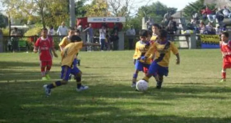 El Tanque ganó en todas las categorías
