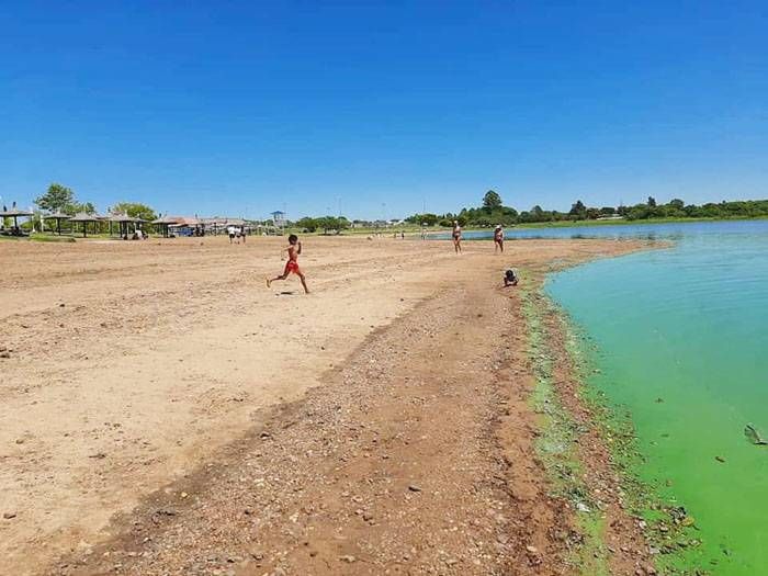 Vecino de Federación mostró en fotos el verdín que afecta a Playa Grande