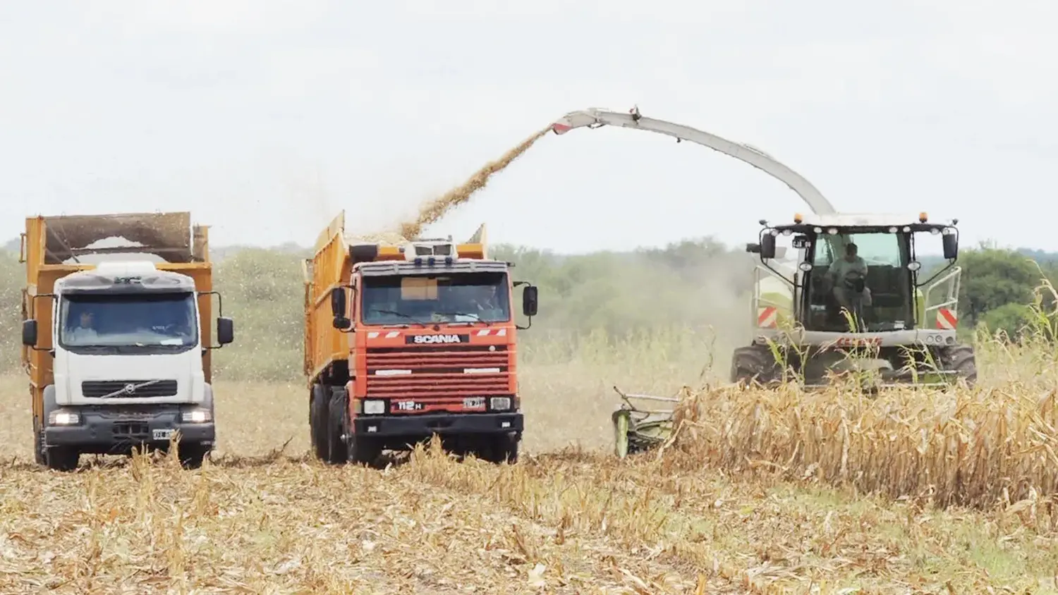 La provincia puso en vigencia el nuevo régimen ambiental para la actividad productiva de Entre Ríos
