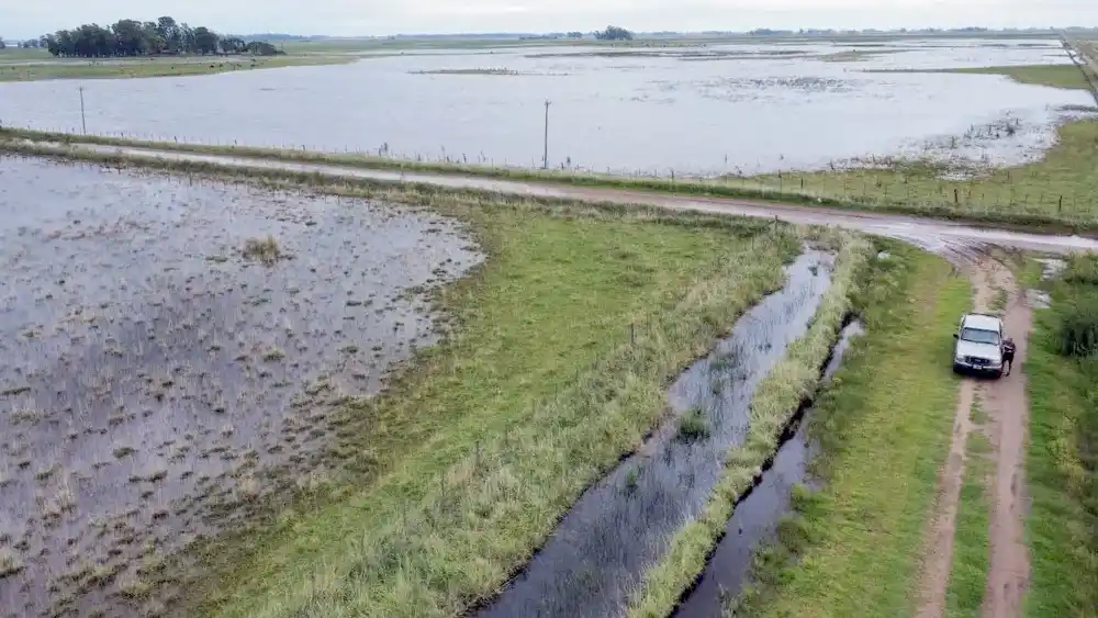 Un campo inundado en el corazón de la provincia de Buenos Aires.