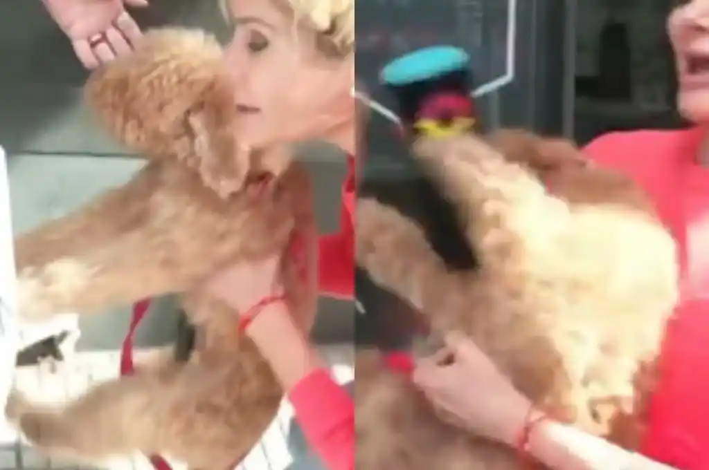 Captura de pantalla tomadas del video