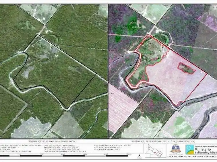 Desmontes ilegales: Paoltroni acumula multas
desde 2017 y se complica su situación judicial