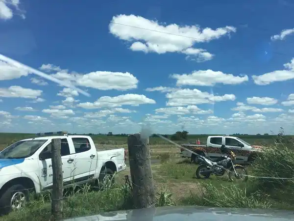 Desaparecieron 25 novillos en un campo ubicado a 8 kilómetros de la ciudad