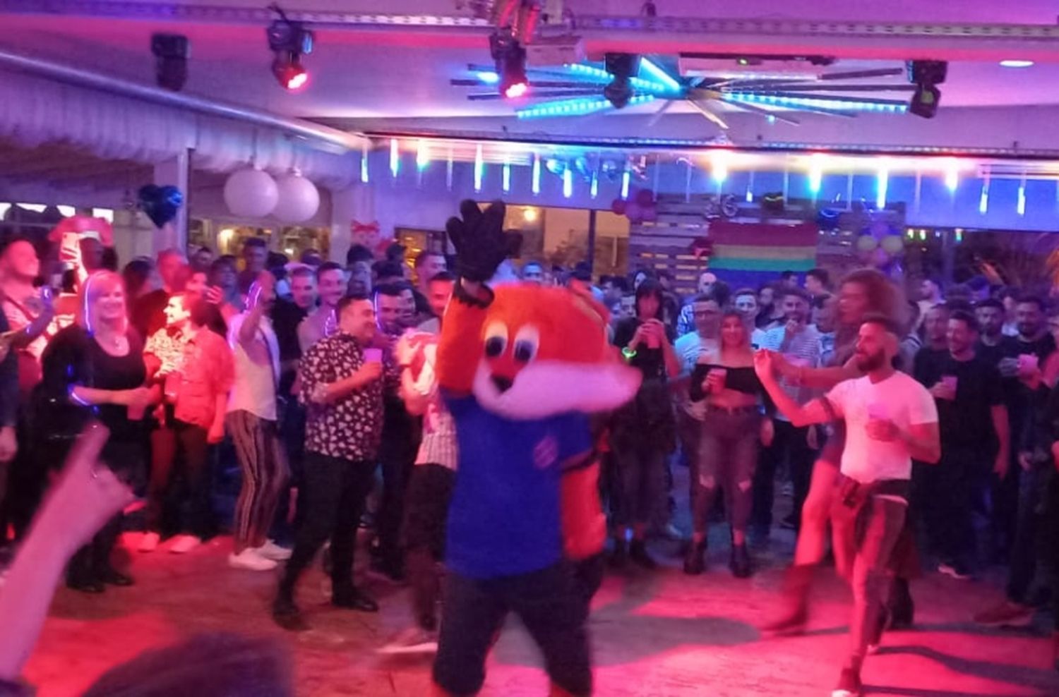 Zorra Fest!