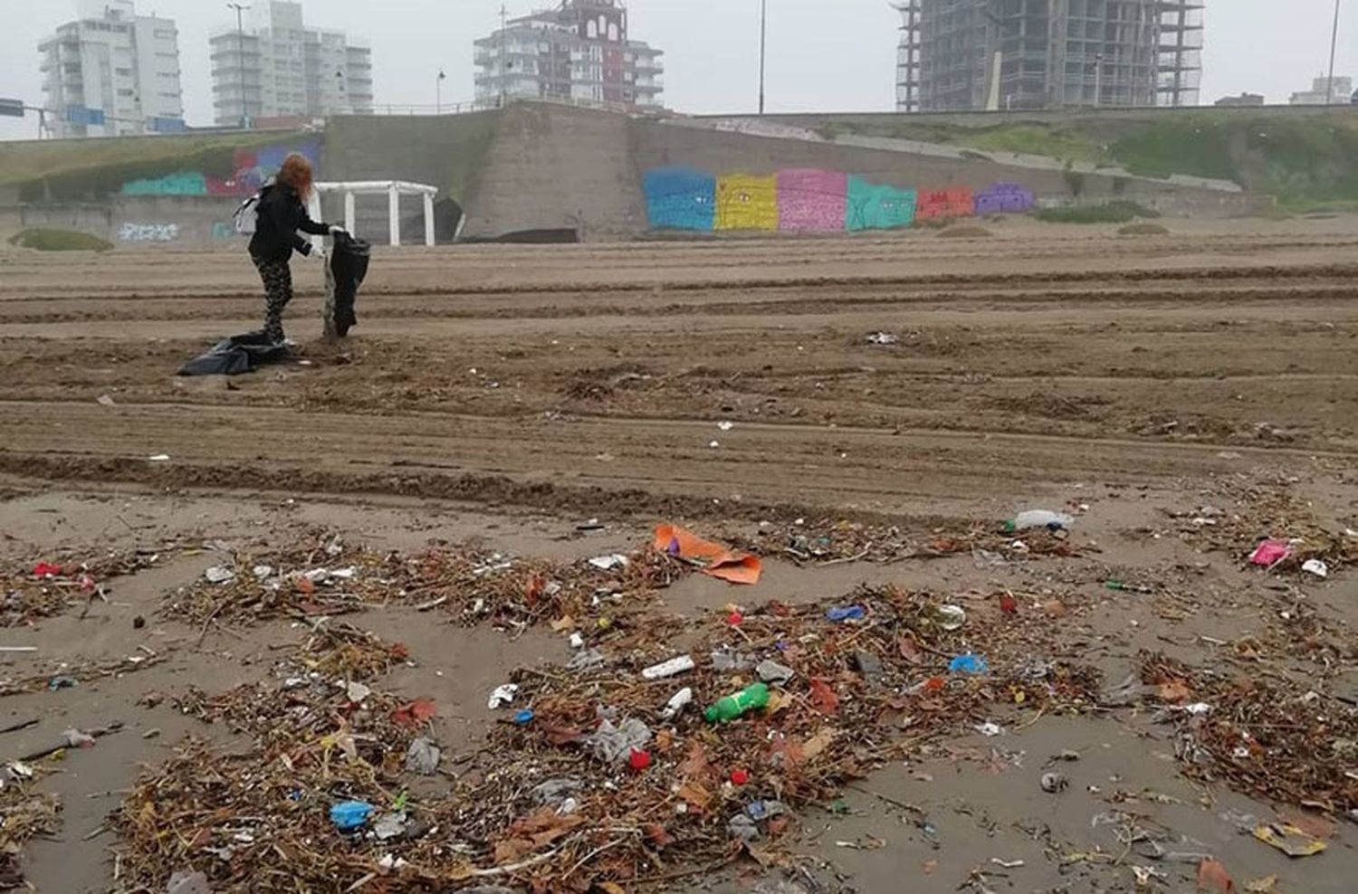 #ChauColillas: una nueva campaña ecológica en Mar del Plata