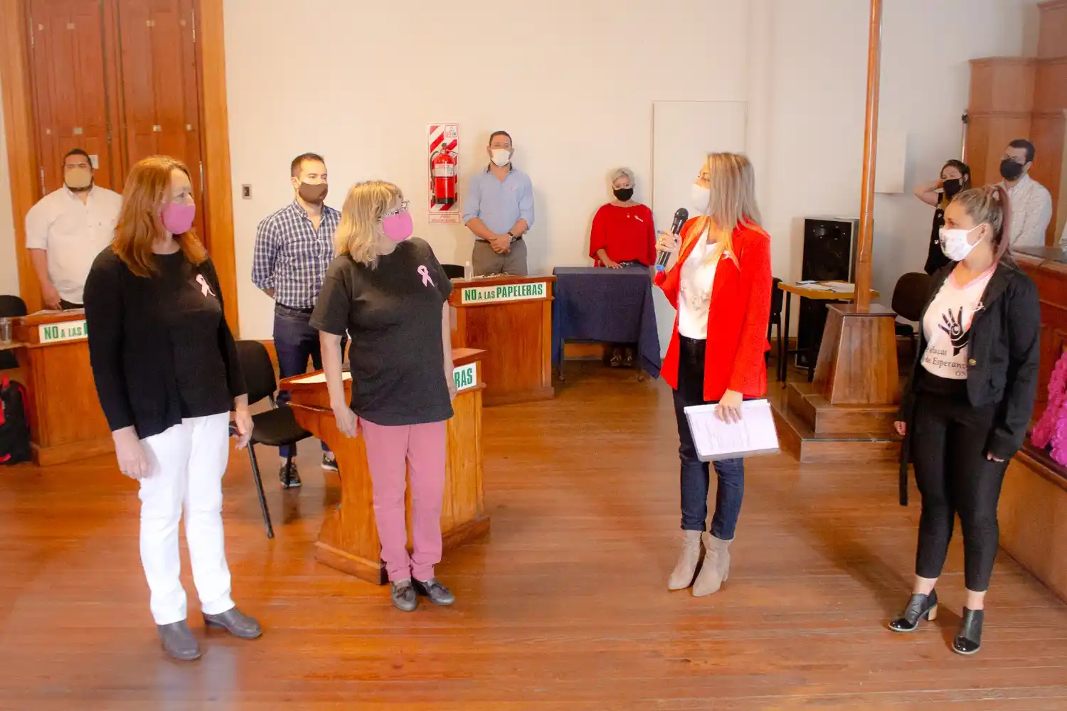 El HCD declaró a octubre como el mes de la lucha contra el cáncer de mama