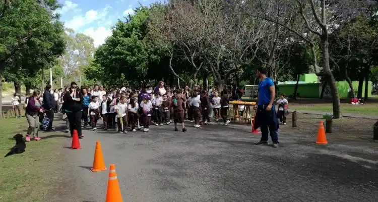 #Vidriera:  caminata por la Paz