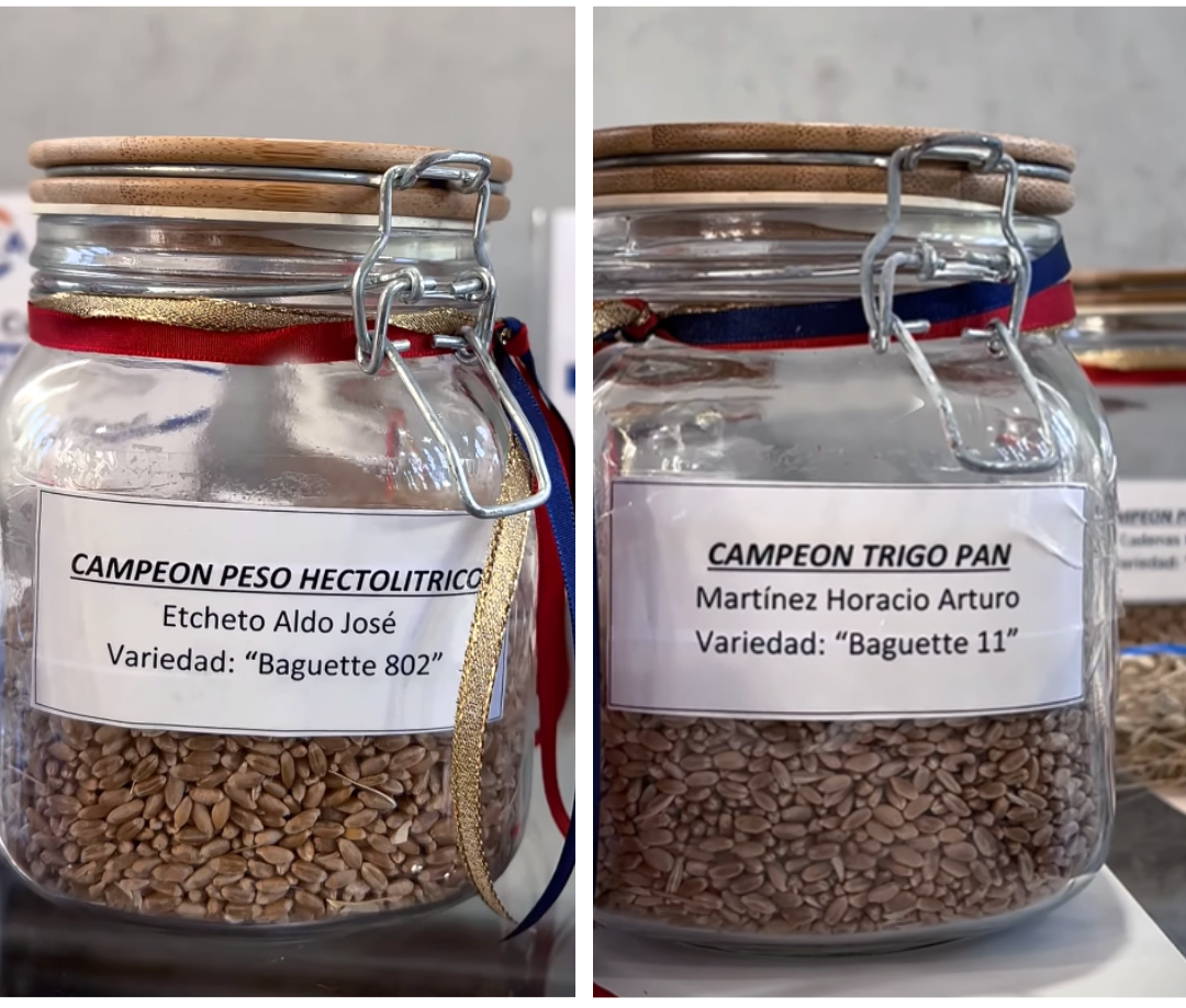 Los trigos de Tres Arroyos otra vez en lo más alto del podio nacional