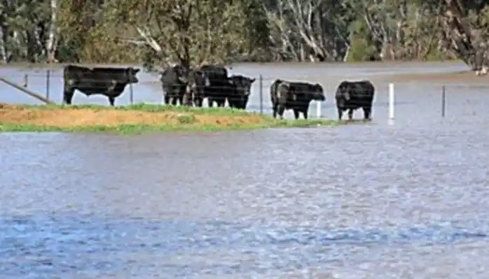 Ya son cerca de 3000 los evacuados por la crecida del Paraná