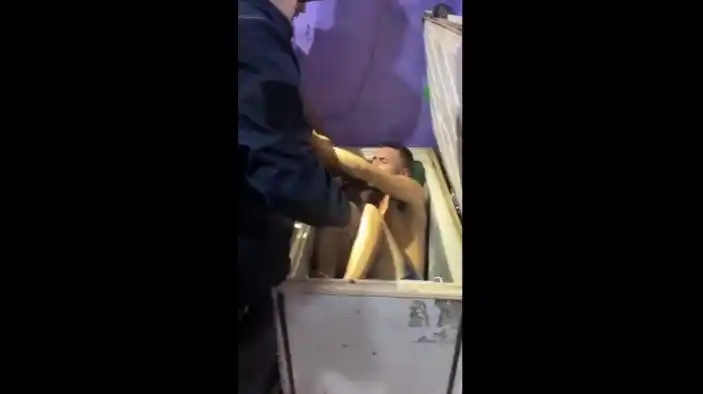 freezer