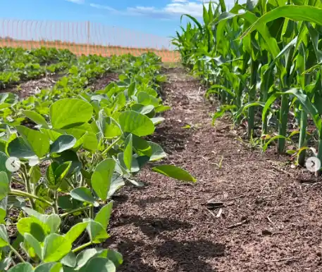 El programa completo del segundo día de Tecnobio, la muestra de Tandil