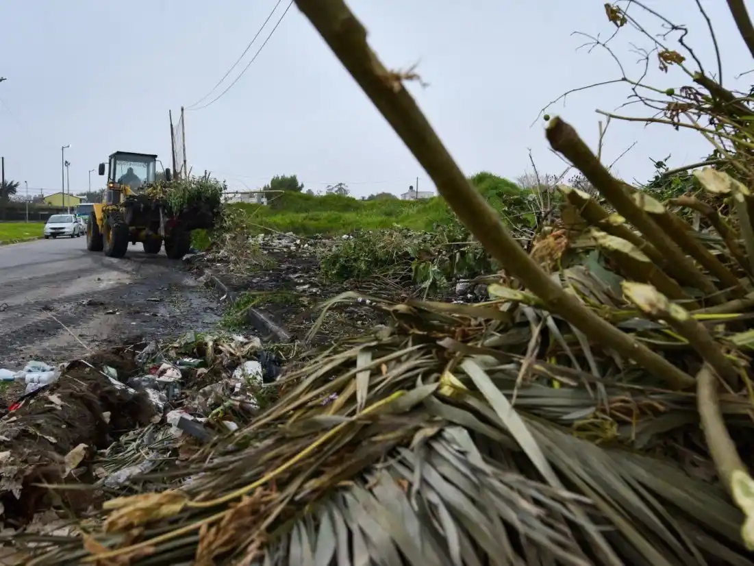 En total, en el primer cuatrimestre se registraron 15.523 toneladas de residuos trasladadas al predio, de las cuales 2.652 correspondieron a abril.