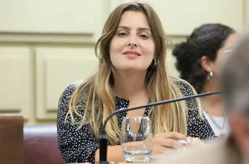 Desde el socialismo manifiestan que todavía existen «serias diferencias» para aprobar la Ley de Necesidad Pública