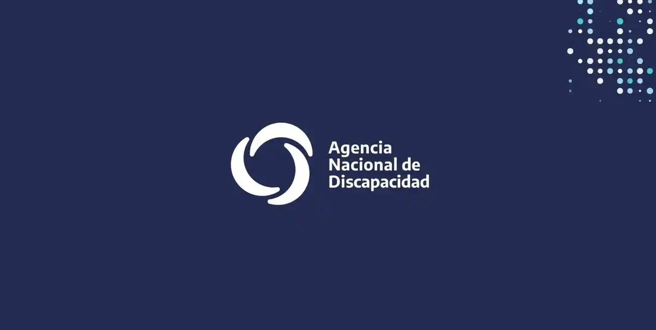 Agencia Nacional de Discapacidad (Andis).