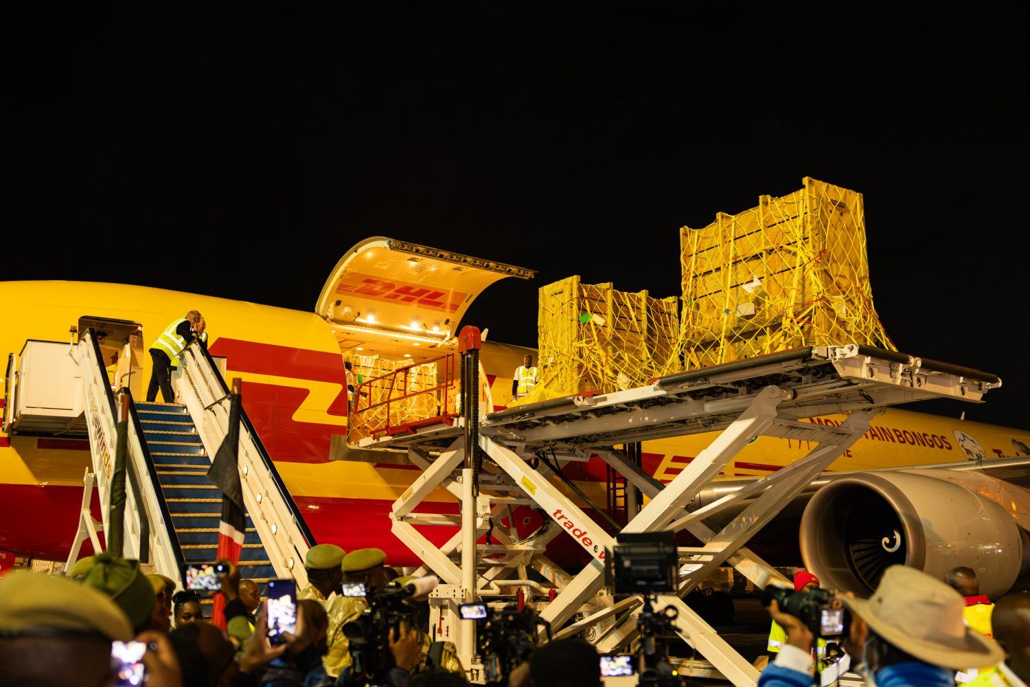 DHL Express transports 17 bongo antelopes from Florida to Kenya