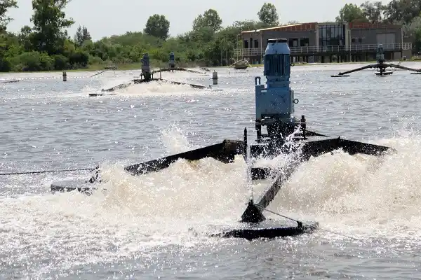 Laguna Sanitaria: Llaman a licitación para la extracción de los barros