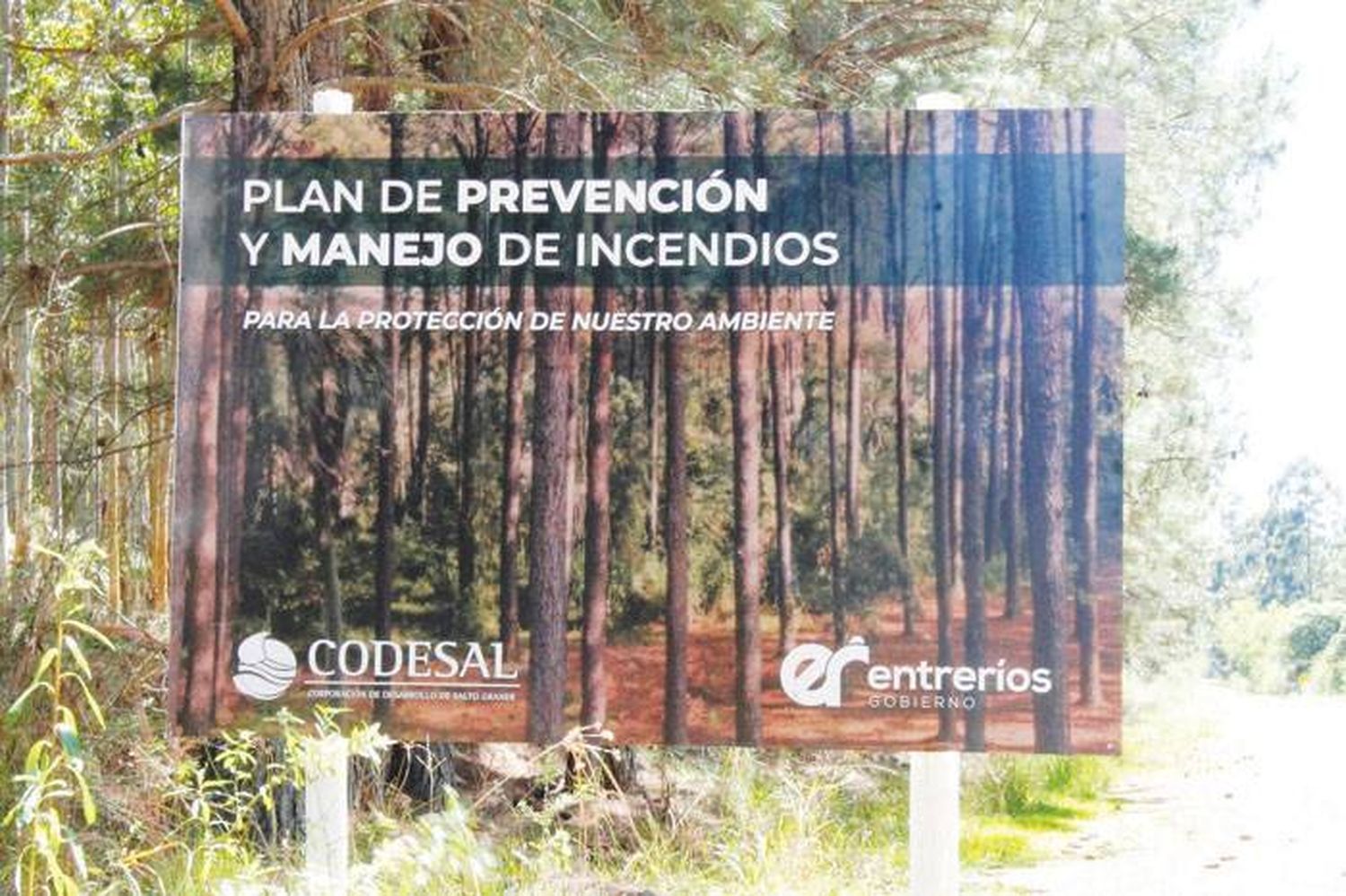 Comenzó los trabajos para la prevención de incendios en el perilago