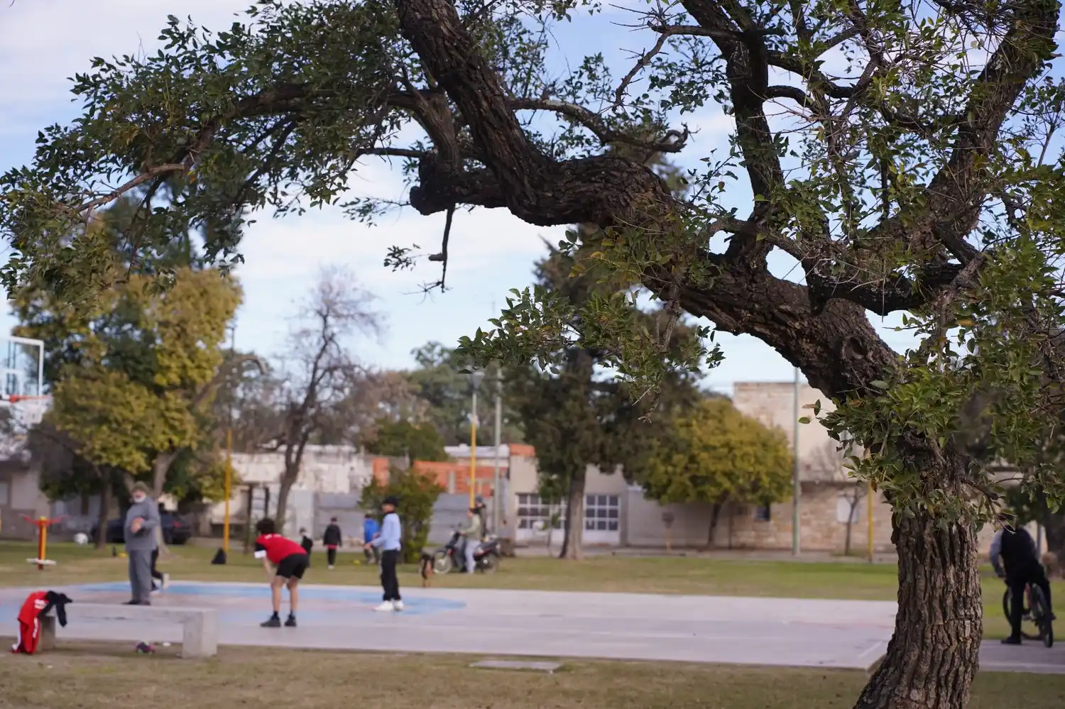 La plaza Sarmiento. Uno de los espacios que se reforestará colaborativamente.
