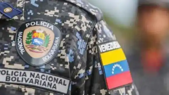 POR NO TENERLE LA COMIDA LISTA, hombre mató al gato y amenazó con hacerle lo mismo a su pareja