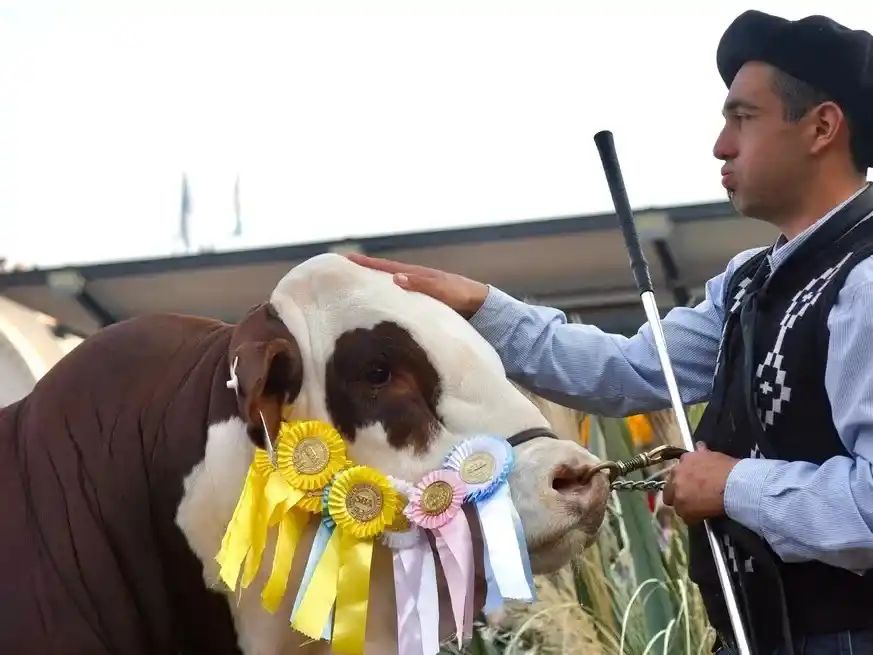 Juan Manuel Alberro, presidente de la Asociación Braford Argentina, destacó las bondades de los animales que la raza expone en Palermo.