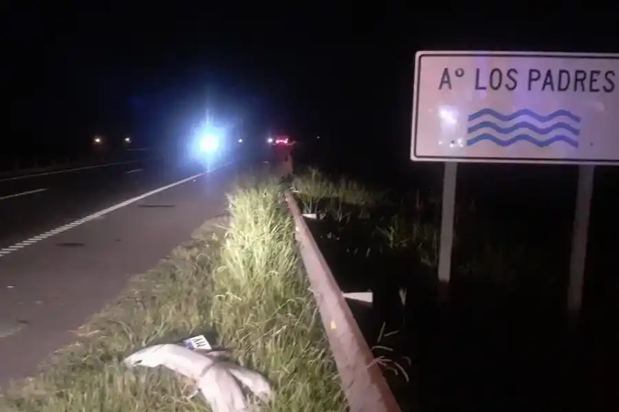 Autopista Santa Fe – Rosario: un auto chocó a un toro y una mujer resultó lesionada