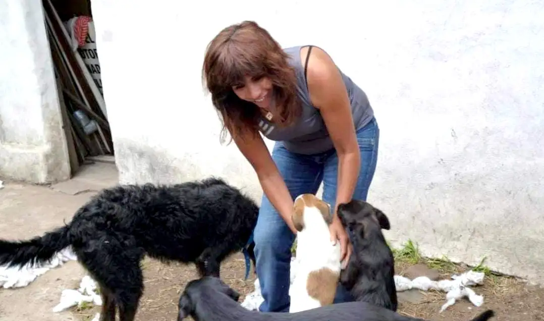 En plena acción. La proteccionista junto a sus mascotas brindando amor y atención