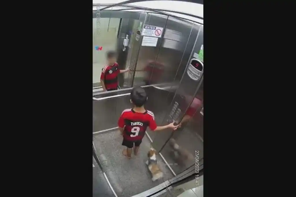 “Sentí mucha desesperación y miedo”, contó el pequeño.