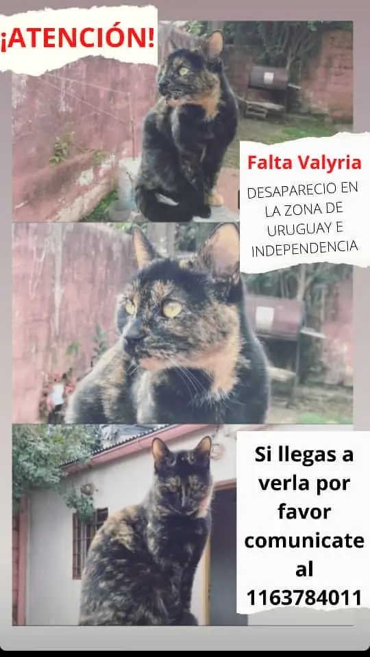 Se extravió Valyria