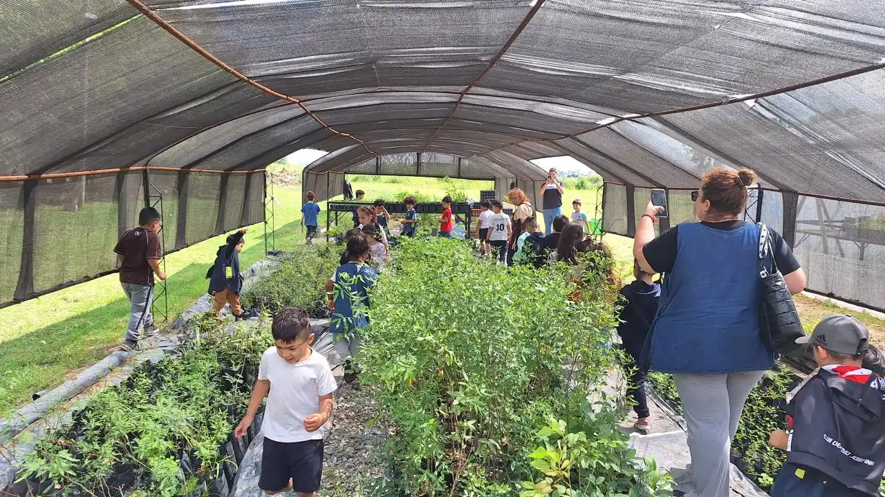 vivero municipal bouchard