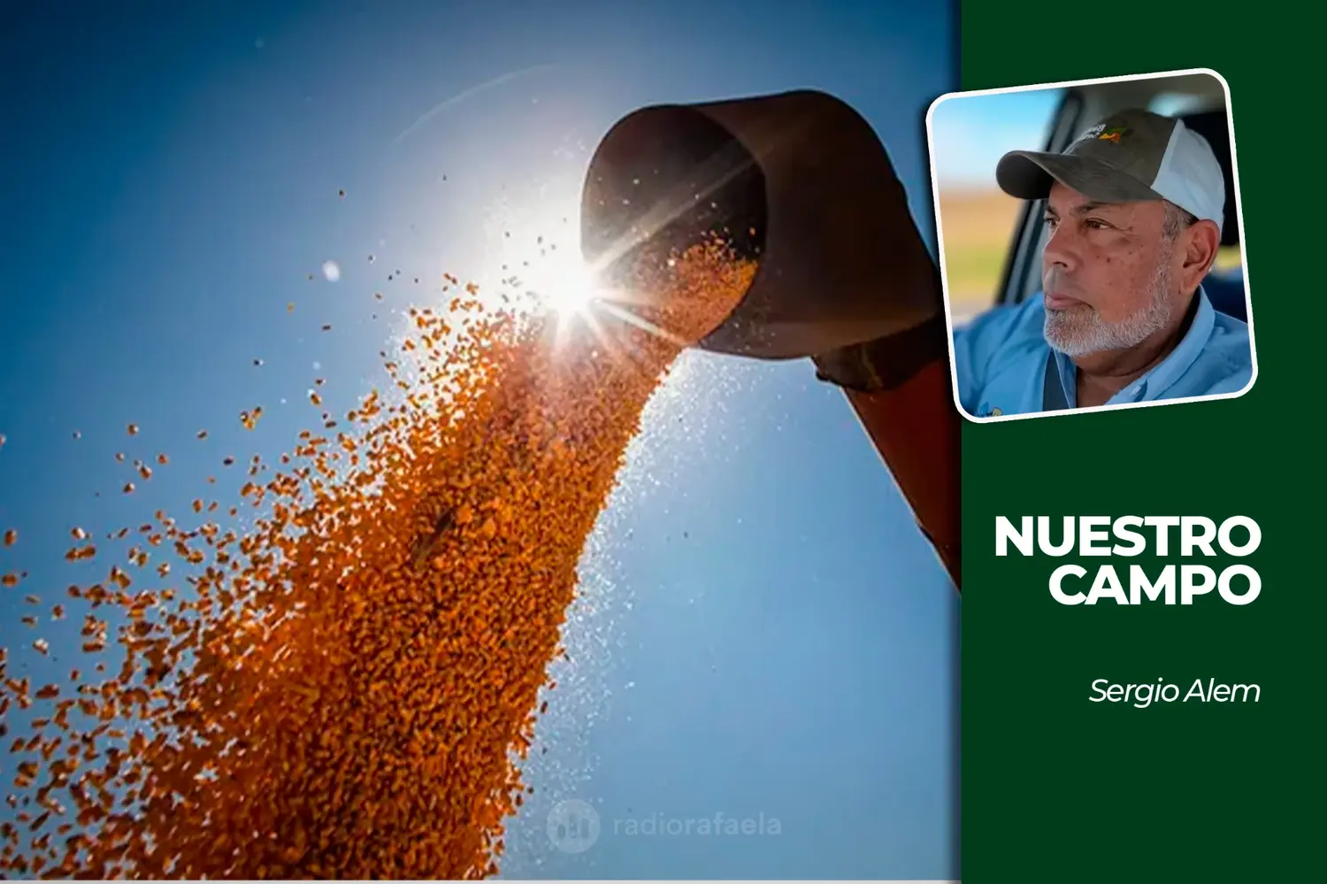 Cañuelas cerró la semana con 17.644 cabezas y la soja cotizó a 560.000 pesos
