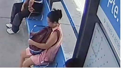 Detuvieron a la empleada doméstica del jubilado asesinado en el country de Pilar