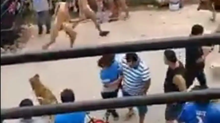 Vecinos desnudaron a tres delincuentes y los echaron del barrio a patadas