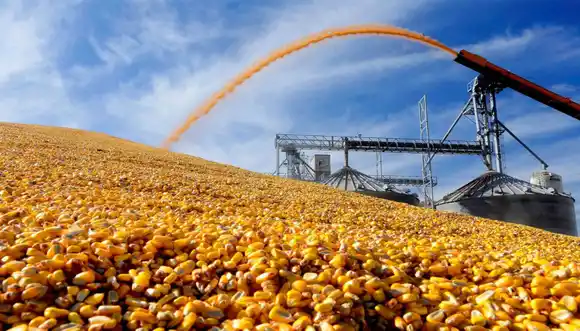 Las exportaciones de maíz están abiertas: La Argentina va a exportar un récord histórico de 38,5 millones de toneladas