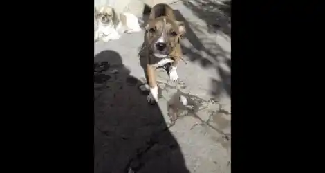 Se busca