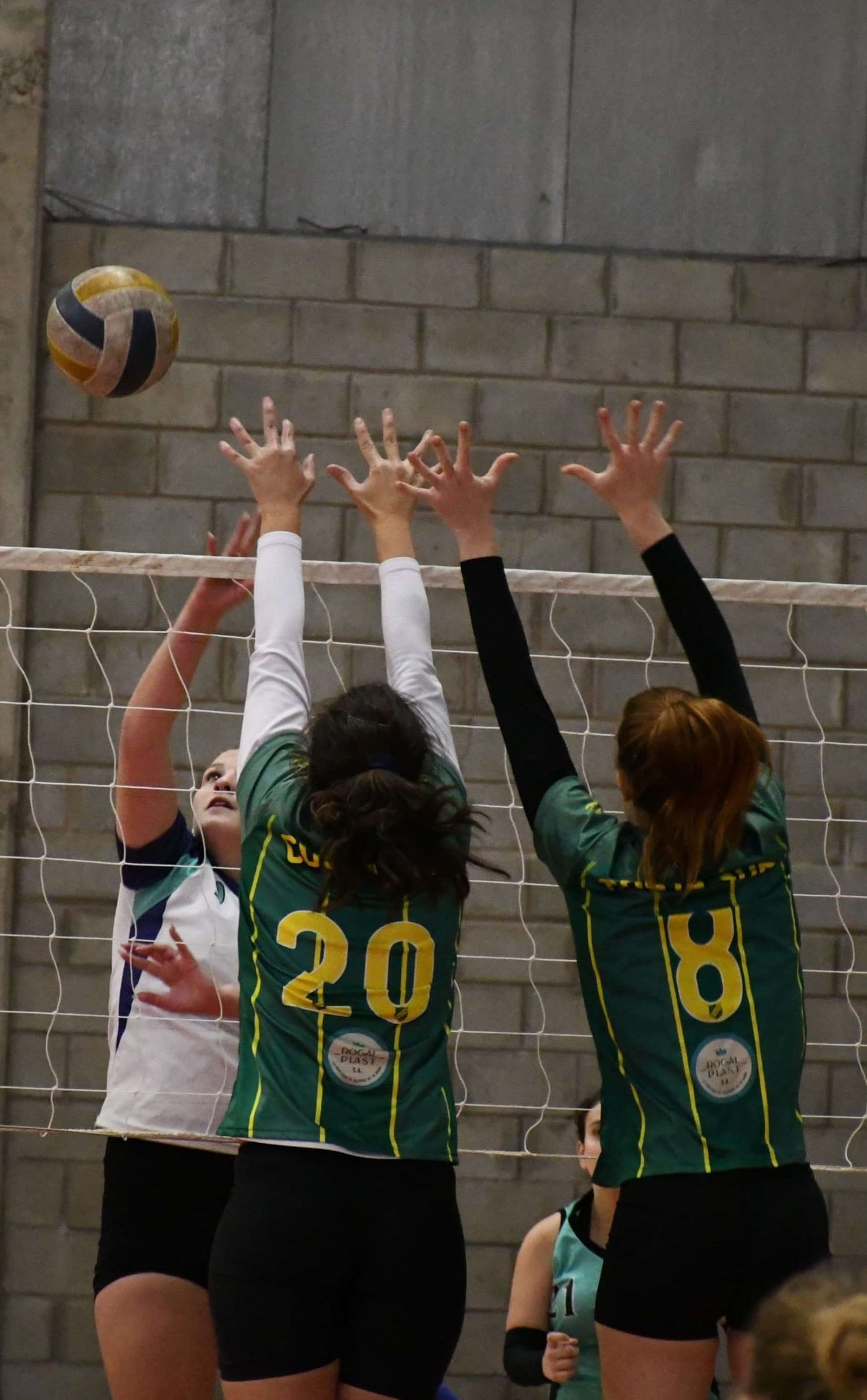 El vóley femenino se pone al día