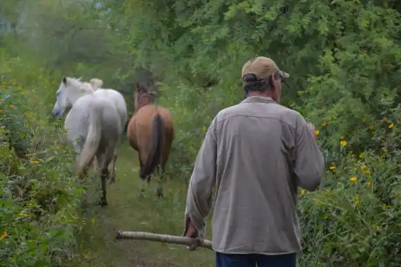 Se invertirán $14 millones en proyectos productivos para Agricultura Familiar