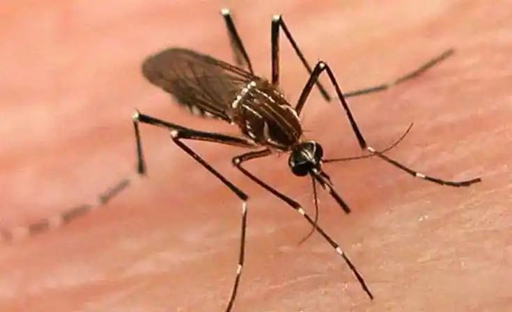 Merlo es el distrito con más casos de Sarampión y Dengue de Buenos Aires ¿y el resto?