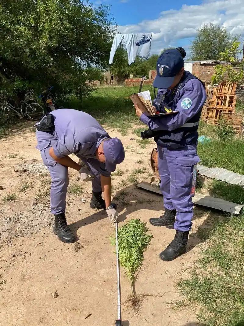 Ocasionó daños, amenazó a su madre y terminó tras las rejas